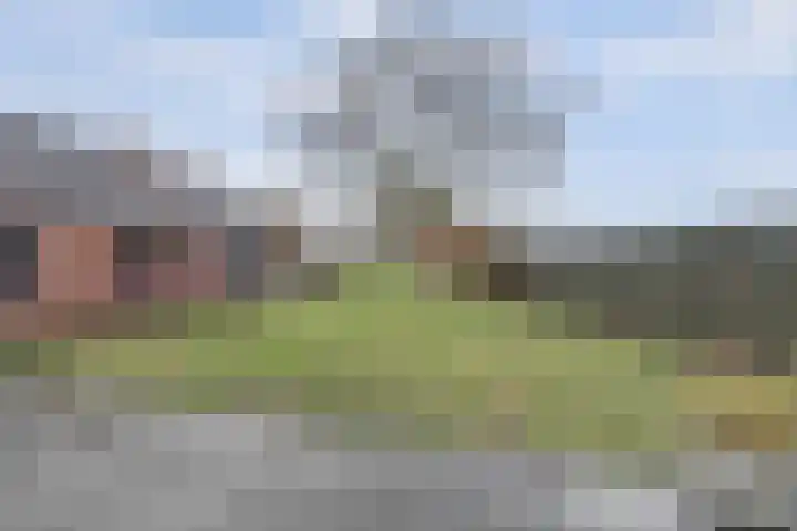 Schadewijk 12 Eersel thumbnail 55