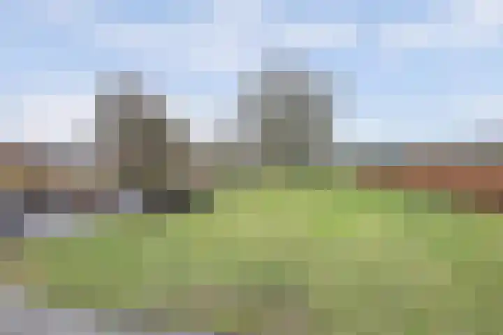 Schadewijk 12 Eersel thumbnail 56