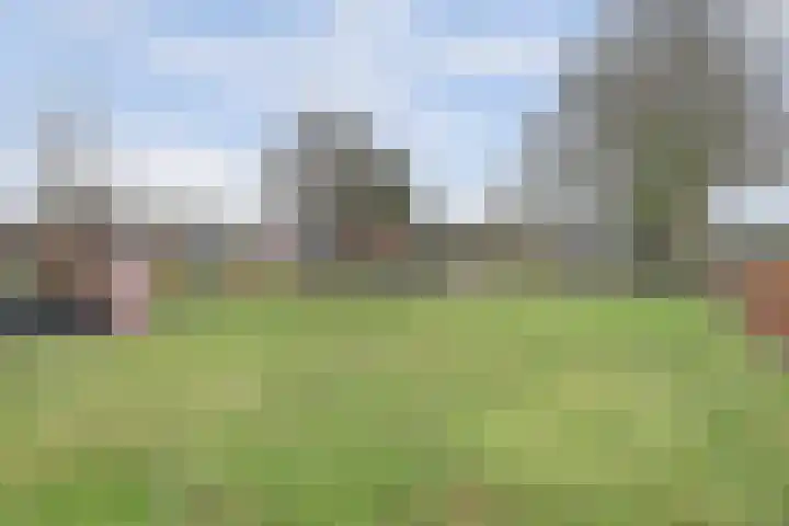 Schadewijk 12 Eersel thumbnail 57