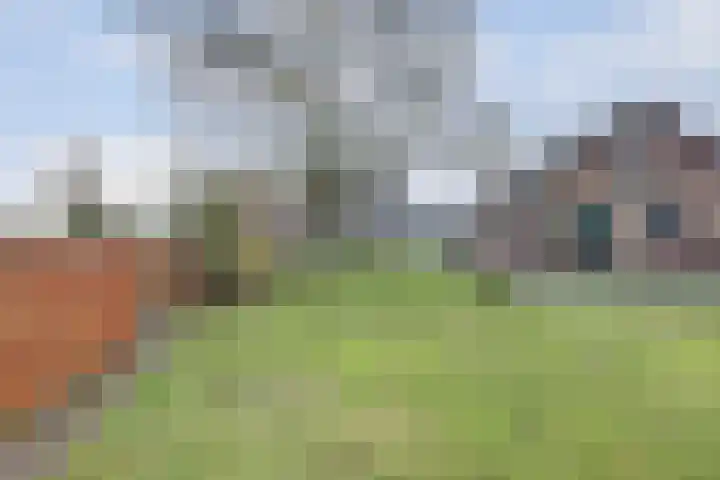 Schadewijk 12 Eersel thumbnail 58