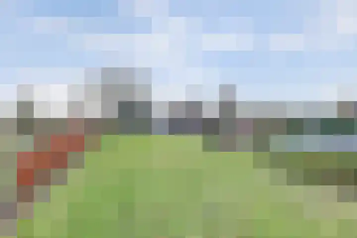 Schadewijk 12 Eersel thumbnail 59