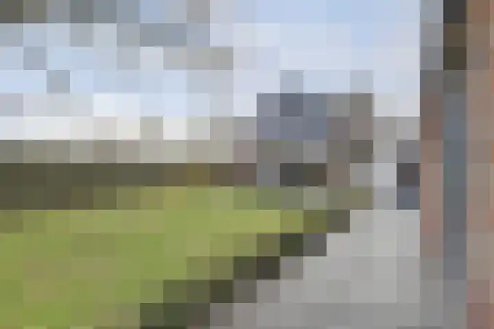 Schadewijk 12 Eersel thumbnail 60