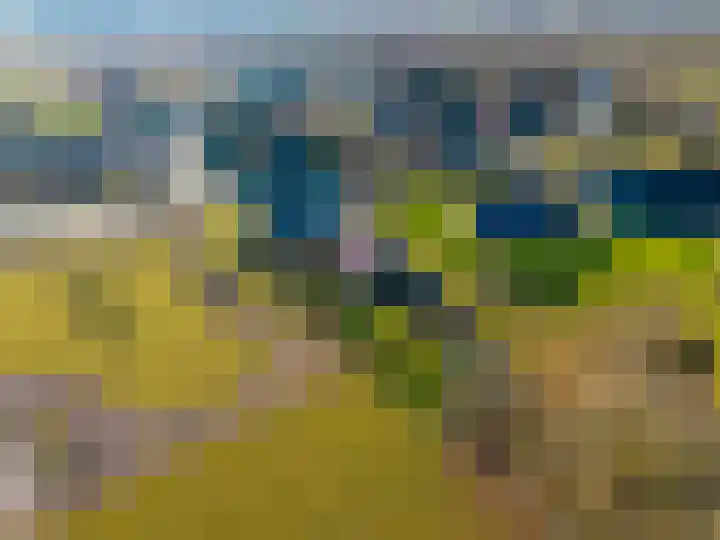 Schadewijk 12 Eersel thumbnail 66