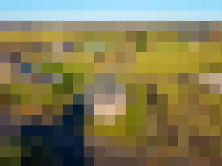 Schadewijk 12 Eersel thumbnail 69