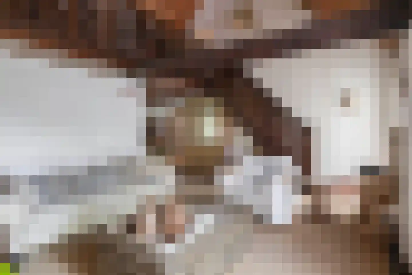 Schadewijk 3 Eersel thumbnail 10