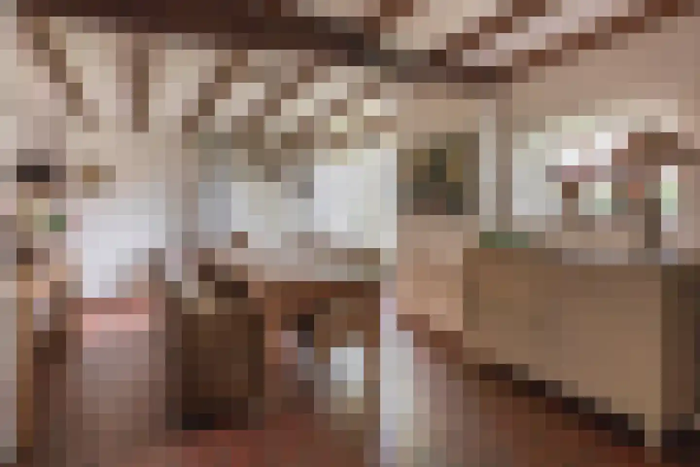 Schadewijk 3 Eersel thumbnail 14
