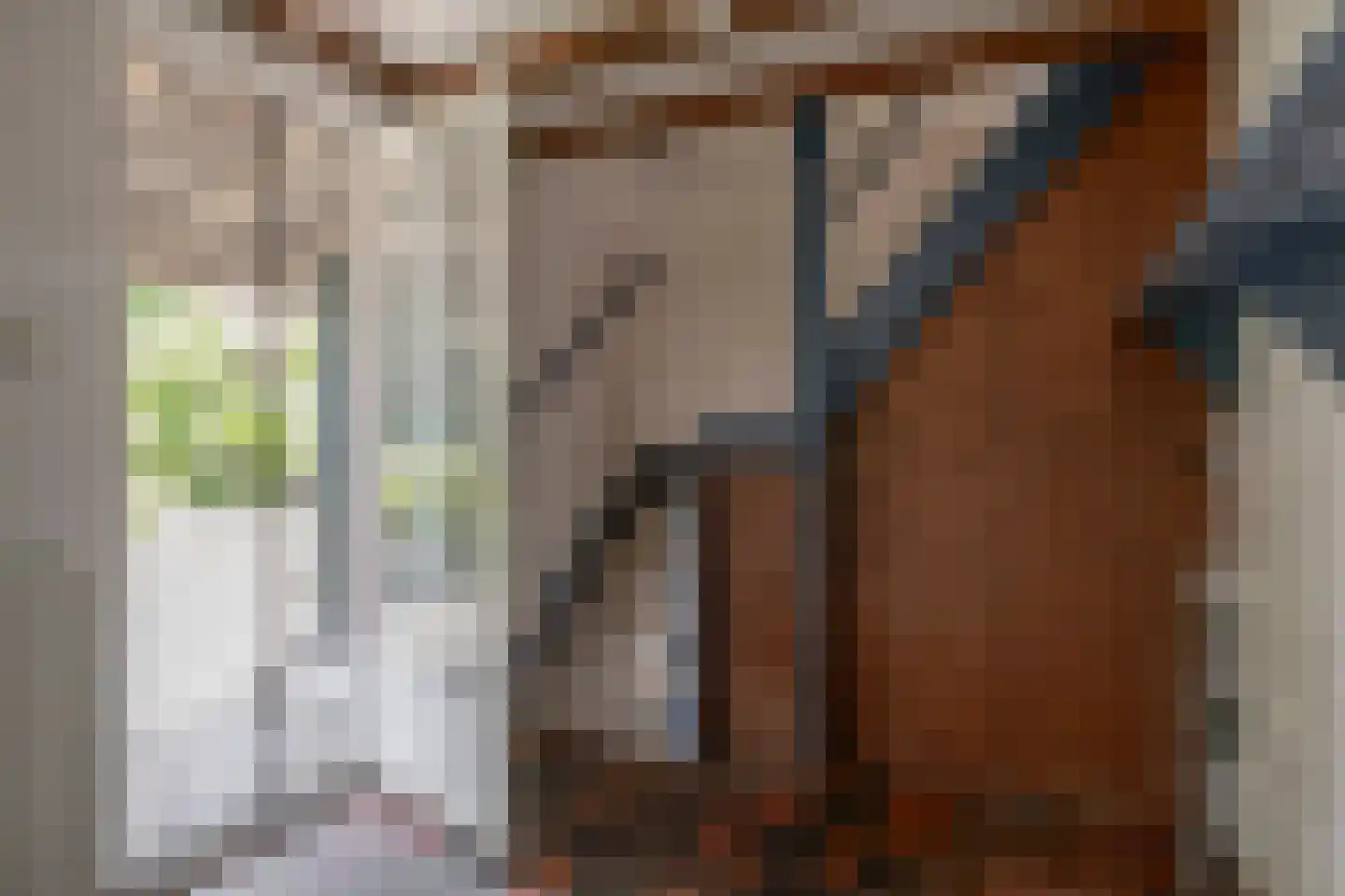 Schadewijk 3 Eersel thumbnail 16