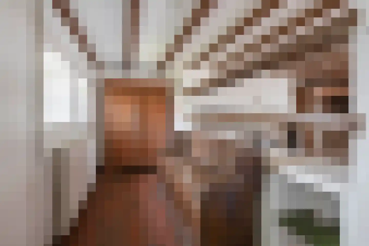Schadewijk 3 Eersel thumbnail 18
