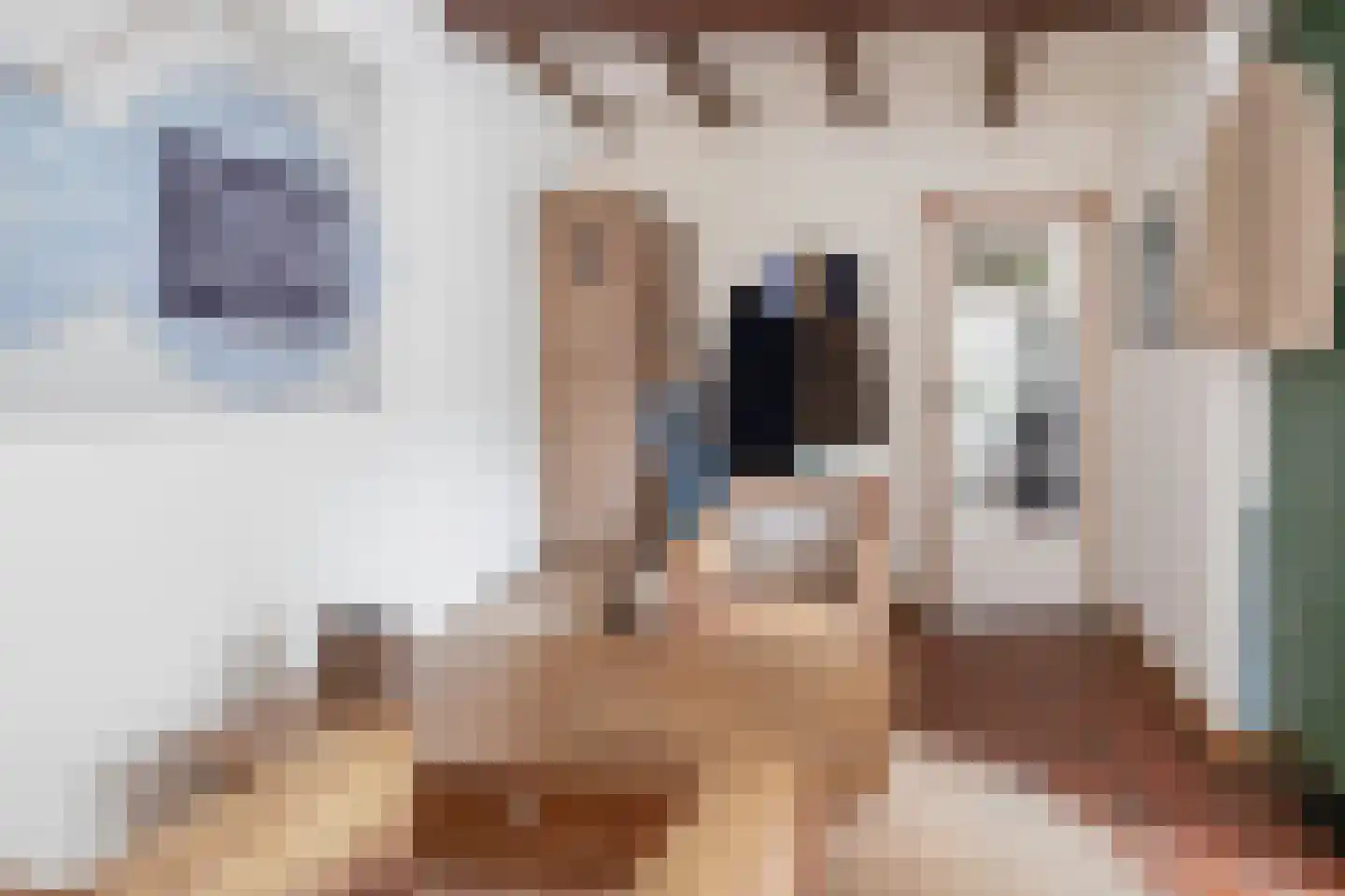 Schadewijk 3 Eersel thumbnail 34