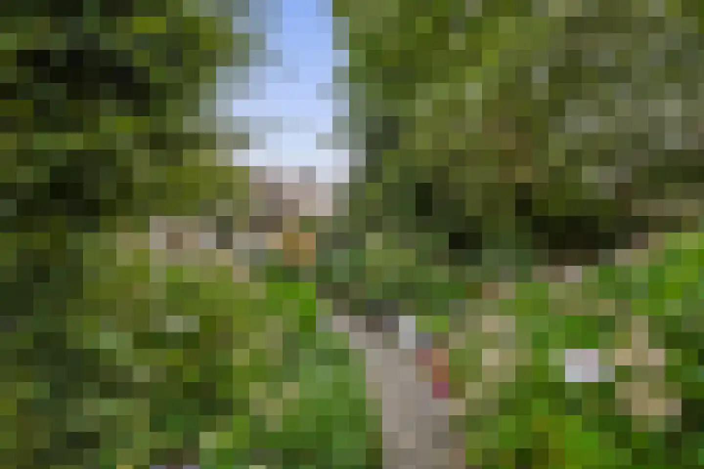Schadewijk 3 Eersel thumbnail 4