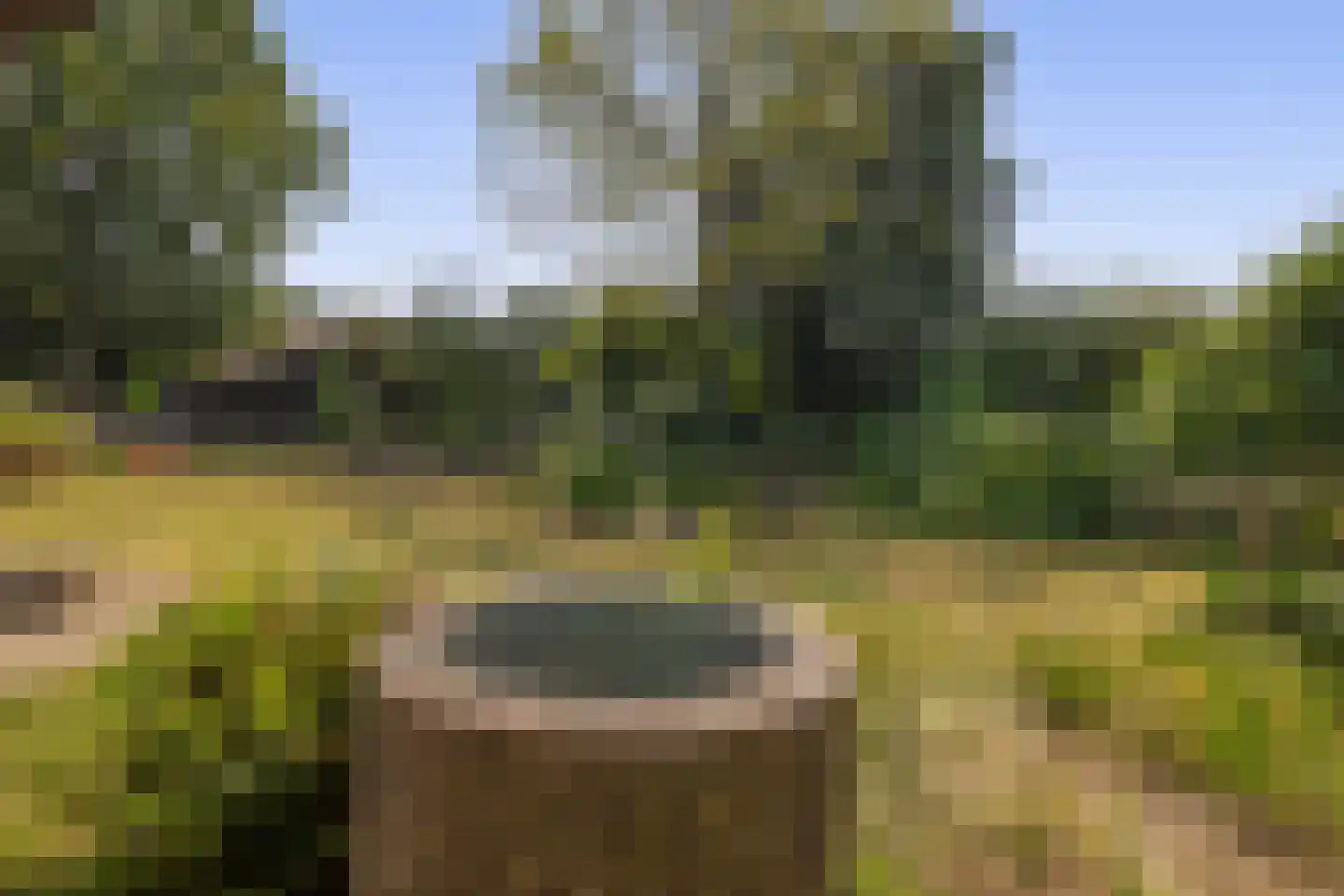 Schadewijk 3 Eersel thumbnail 40
