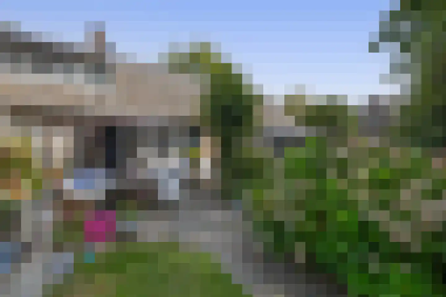 Schadewijk 3 Eersel thumbnail 41