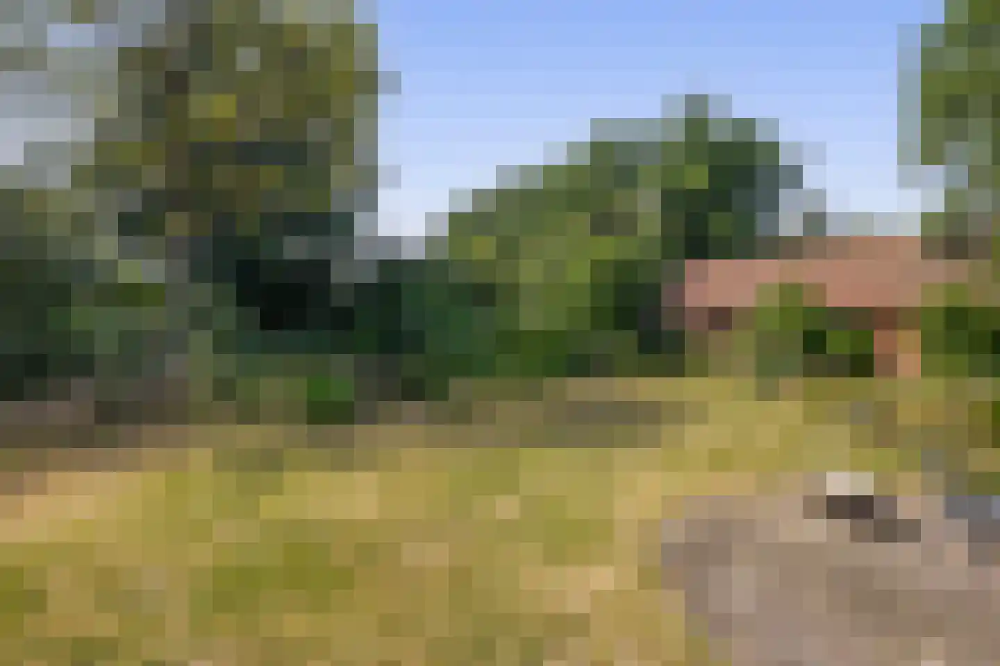Schadewijk 3 Eersel thumbnail 42
