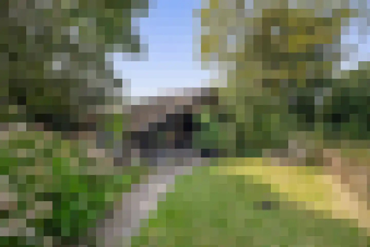 Schadewijk 3 Eersel thumbnail 46