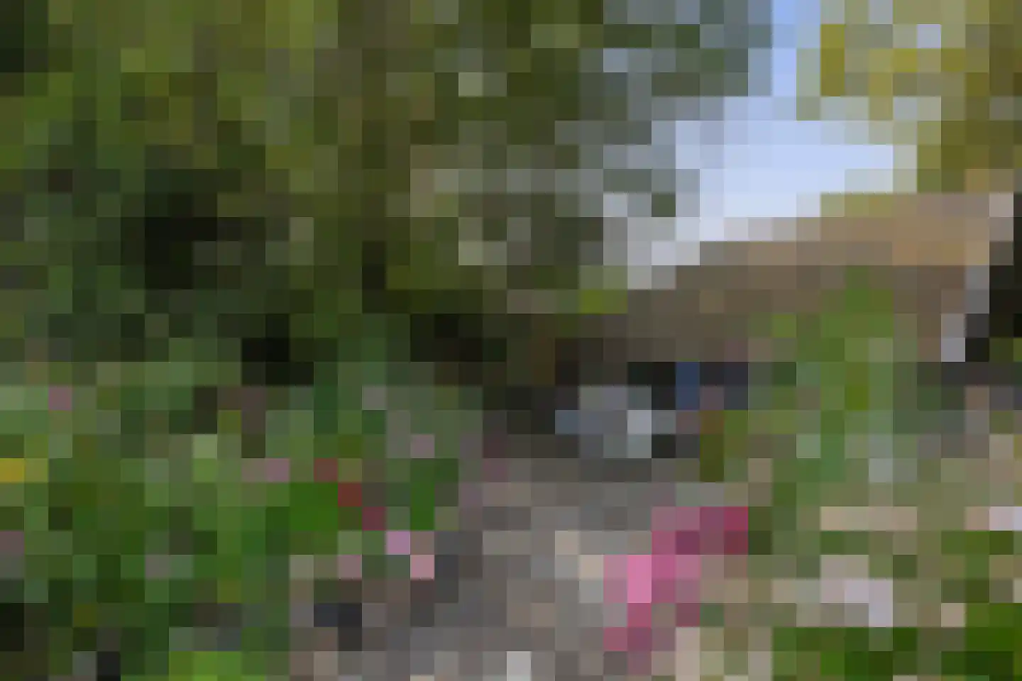 Schadewijk 3 Eersel thumbnail 47