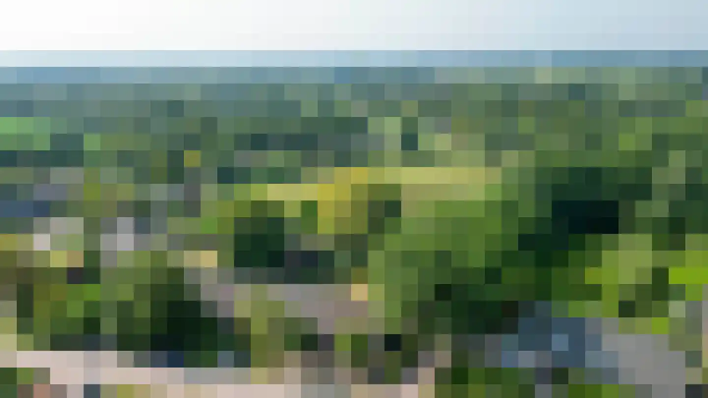Schadewijk 3 Eersel thumbnail 54