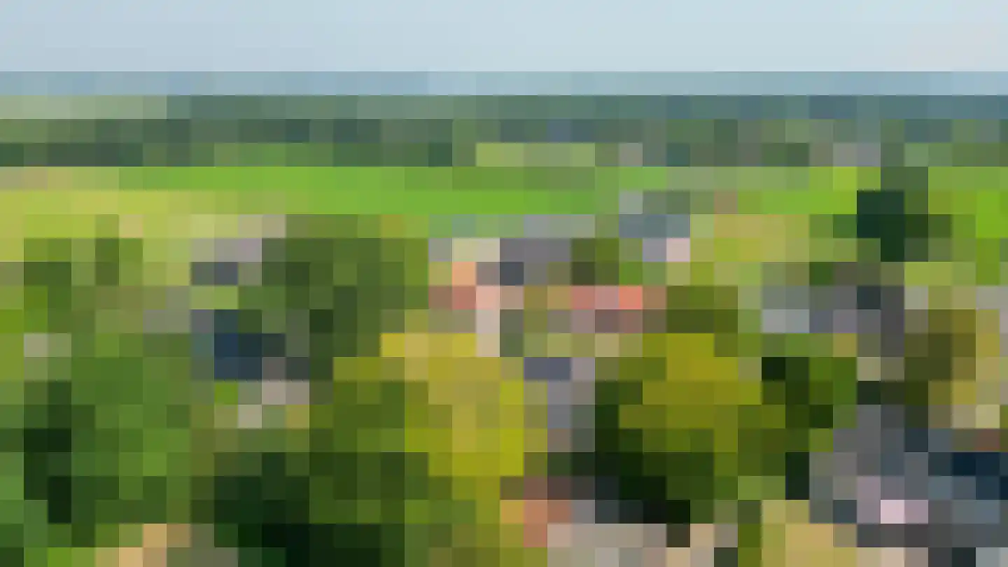 Schadewijk 3 Eersel thumbnail 56