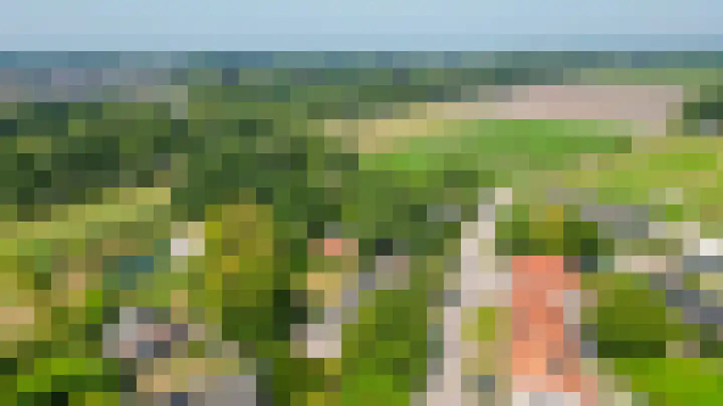 Schadewijk 3 Eersel thumbnail 58