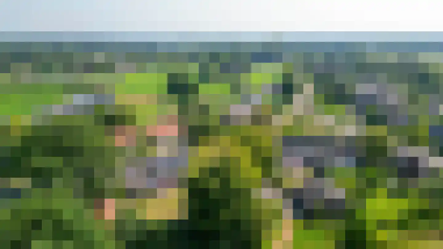 Schadewijk 3 Eersel thumbnail 61