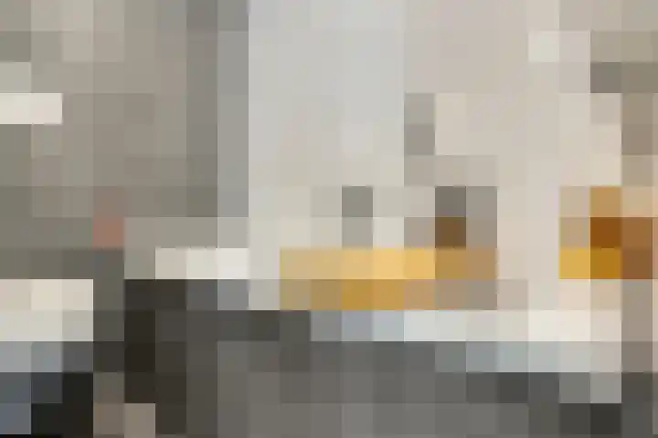 Schadewijkstraat 11 Oss thumbnail 19