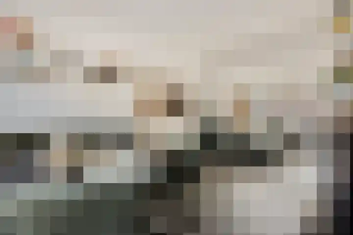 Schadewijkstraat 11 Oss thumbnail 7