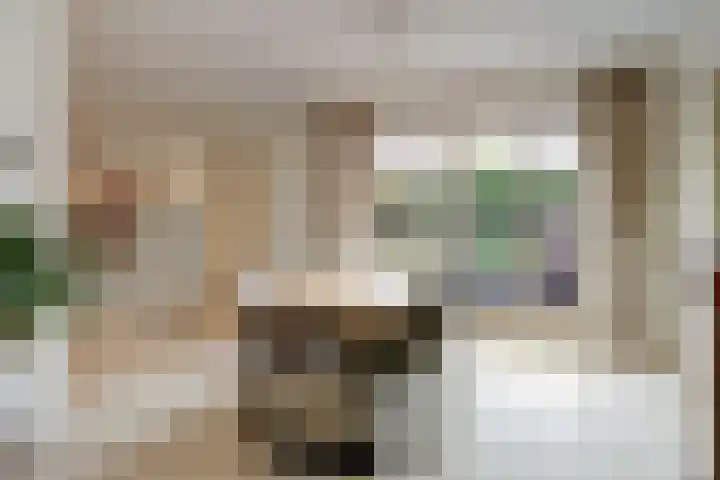 Schadewijkstraat 16 Eersel thumbnail 10
