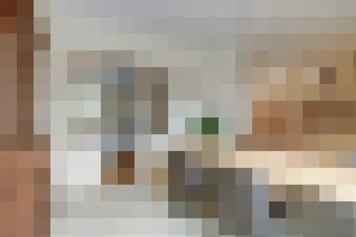 Schadewijkstraat 16 Eersel thumbnail 12
