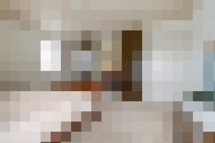 Schadewijkstraat 16 Eersel thumbnail 22