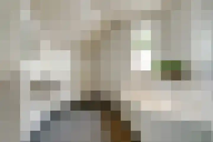 Schadewijkstraat 16 Eersel thumbnail 25