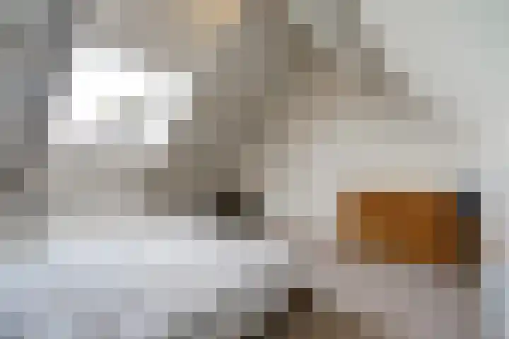 Schadewijkstraat 16 Eersel thumbnail 33