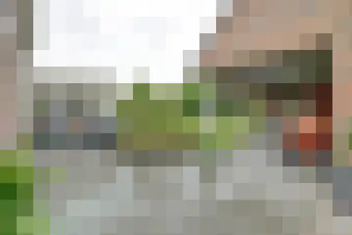 Schadewijkstraat 16 Eersel thumbnail 34