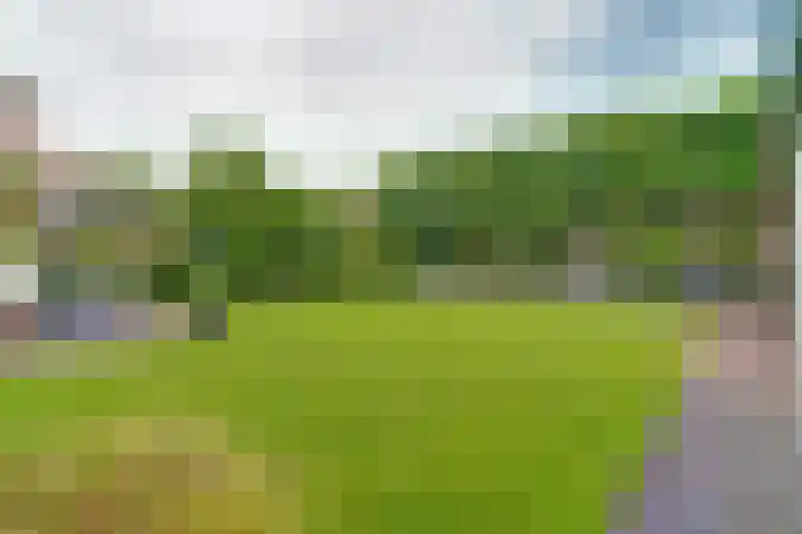 Schadewijkstraat 16 Eersel thumbnail 35