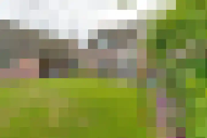 Schadewijkstraat 16 Eersel thumbnail 44