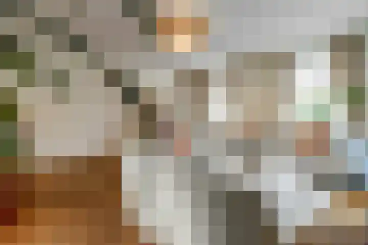 Schadewijkstraat 16 Eersel thumbnail 6