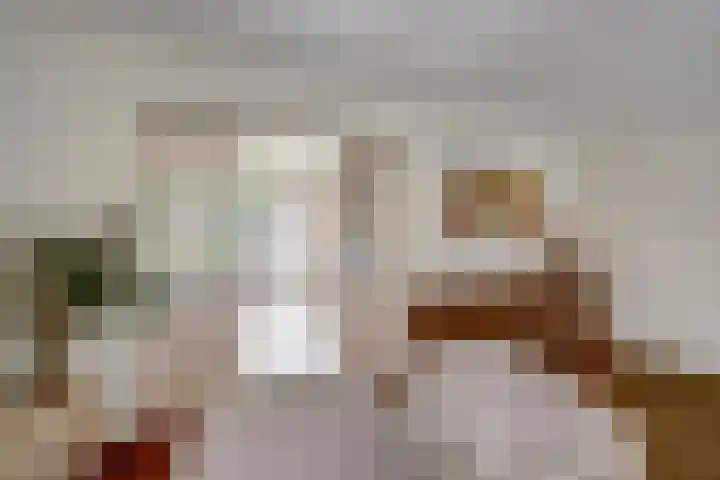 Schadewijkstraat 16 Eersel thumbnail 9