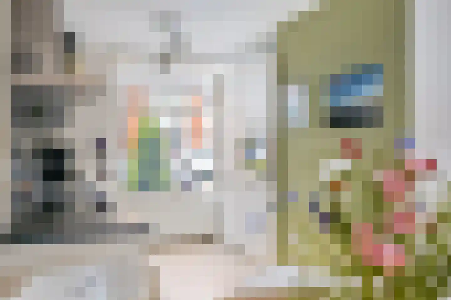 Schadewijkstraat 22 Tilburg thumbnail 17