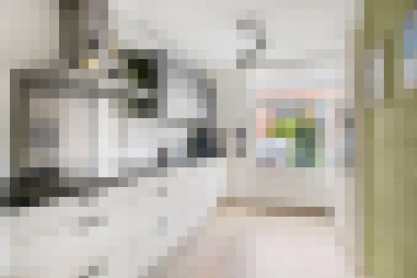 Schadewijkstraat 22 Tilburg thumbnail 18
