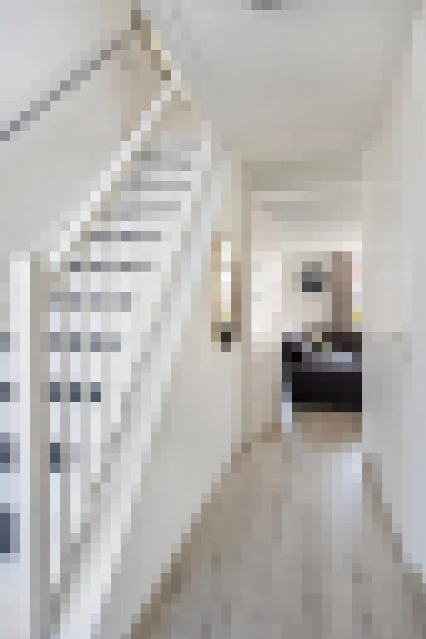 Schadewijkstraat 22 Tilburg thumbnail 9