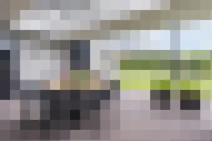 Schadewijkstraat 23 Eersel thumbnail 44