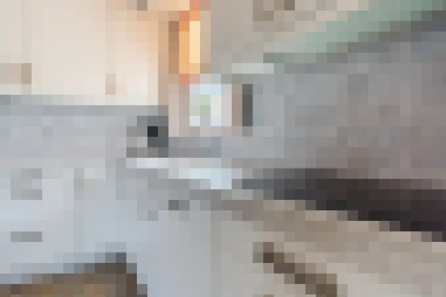 Schadewijkstraat 26 Eersel thumbnail 18