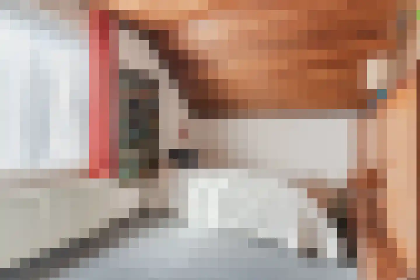Schadewijkstraat 26 Eersel thumbnail 35