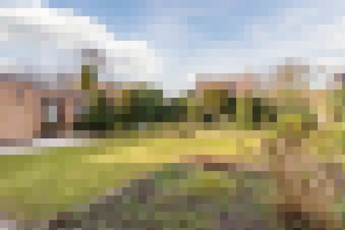 Schadewijkstraat 26 Eersel thumbnail 4