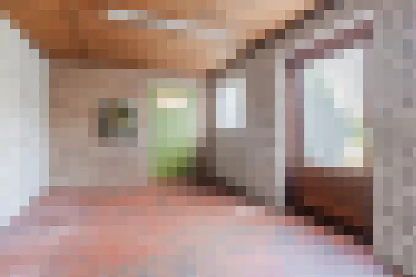 Schadewijkstraat 26 Eersel thumbnail 49