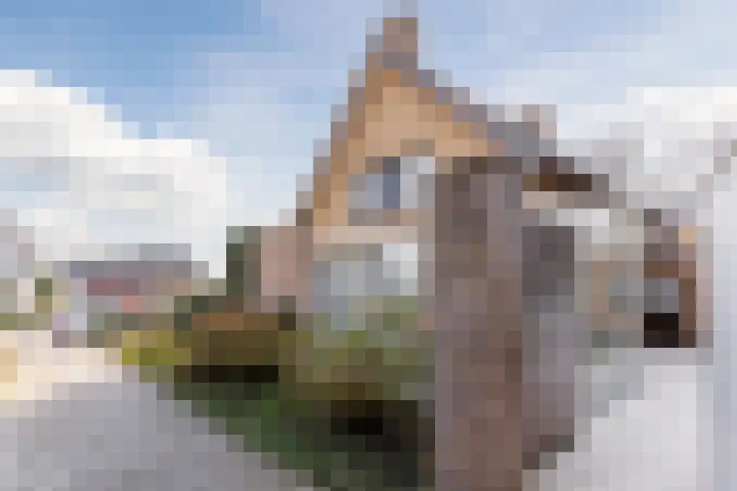 Schadewijkstraat 26 Eersel thumbnail 55