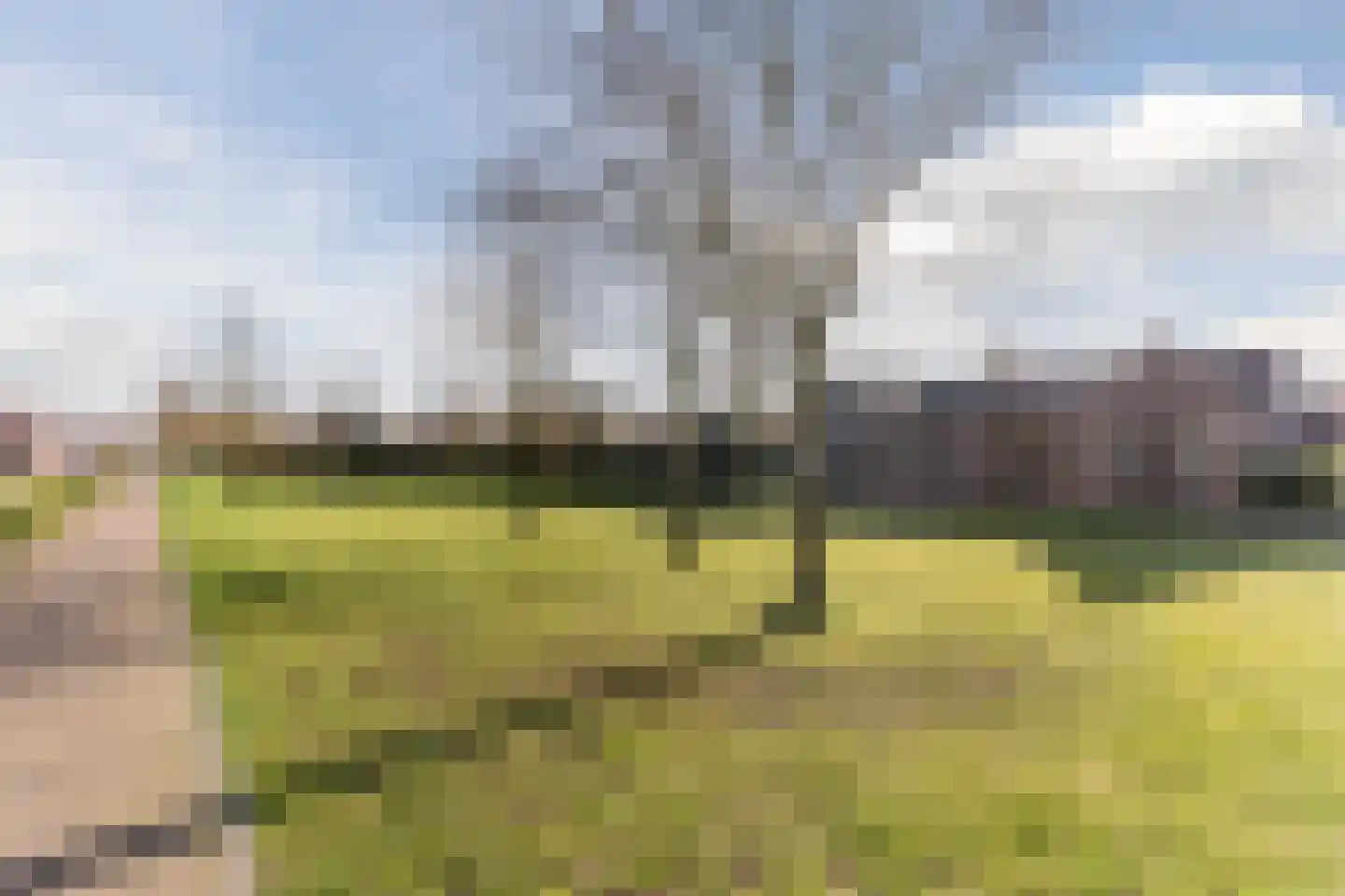 Schadewijkstraat 26 Eersel thumbnail 57