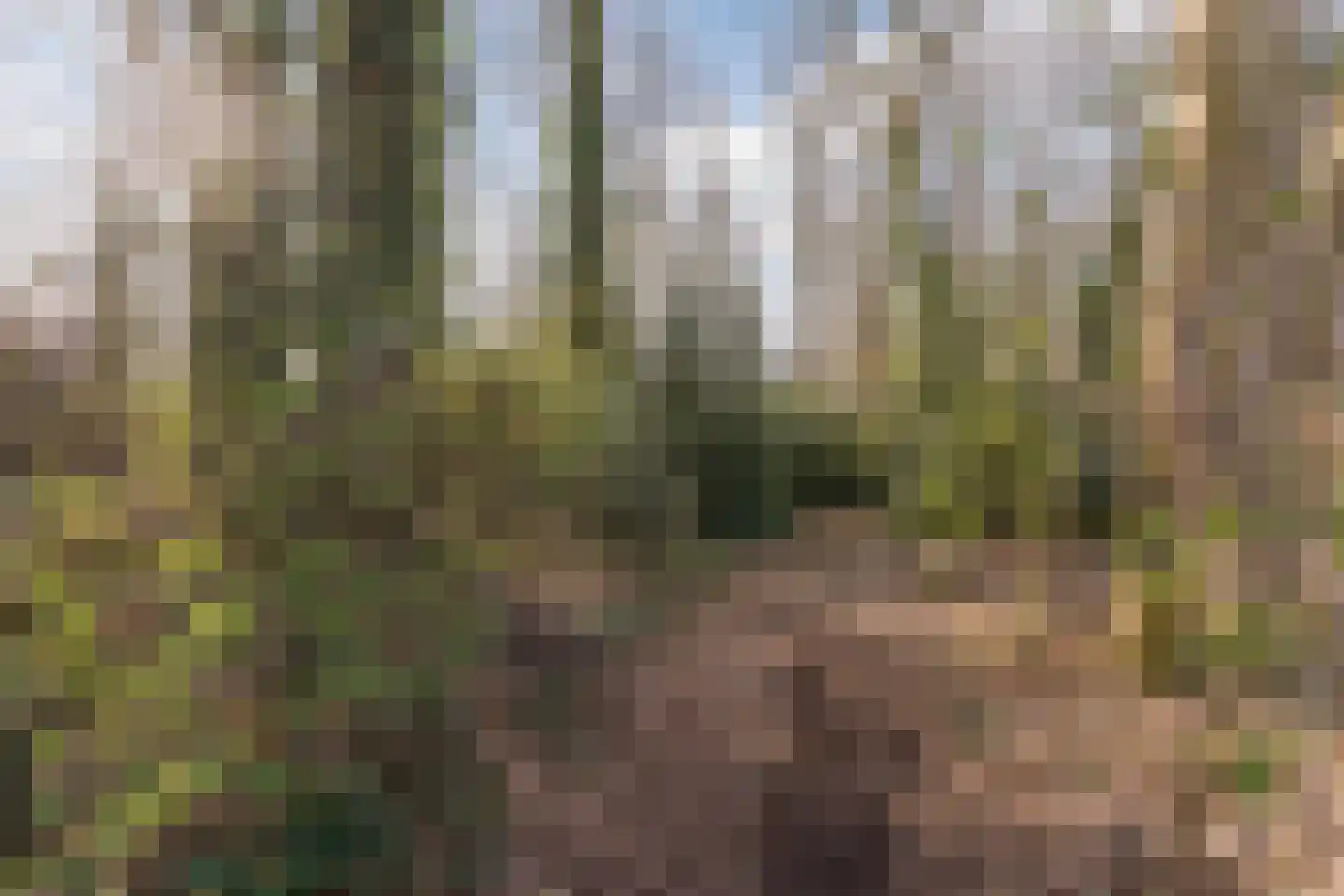 Schadewijkstraat 26 Eersel thumbnail 58