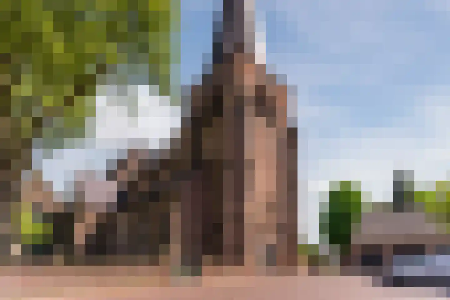 Schadewijkstraat 26 Eersel thumbnail 59