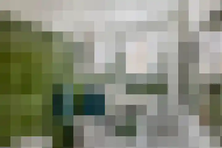 Schadewijkstraat 28 Eersel thumbnail 22