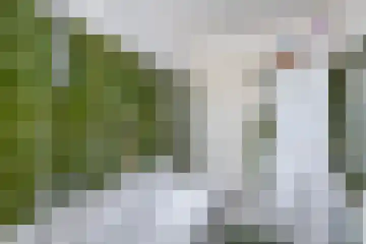 Schadewijkstraat 28 Eersel thumbnail 23
