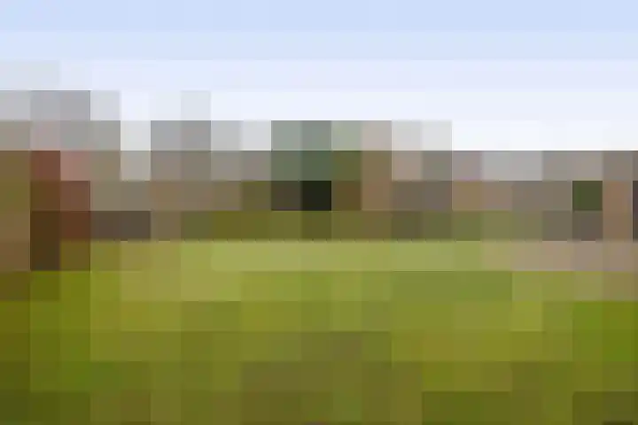Schadewijkstraat 28 Eersel thumbnail 36